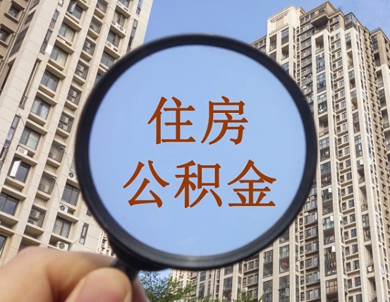 温岭退休后查不到公积金明细了吗（退休后公积金查询不到原因）